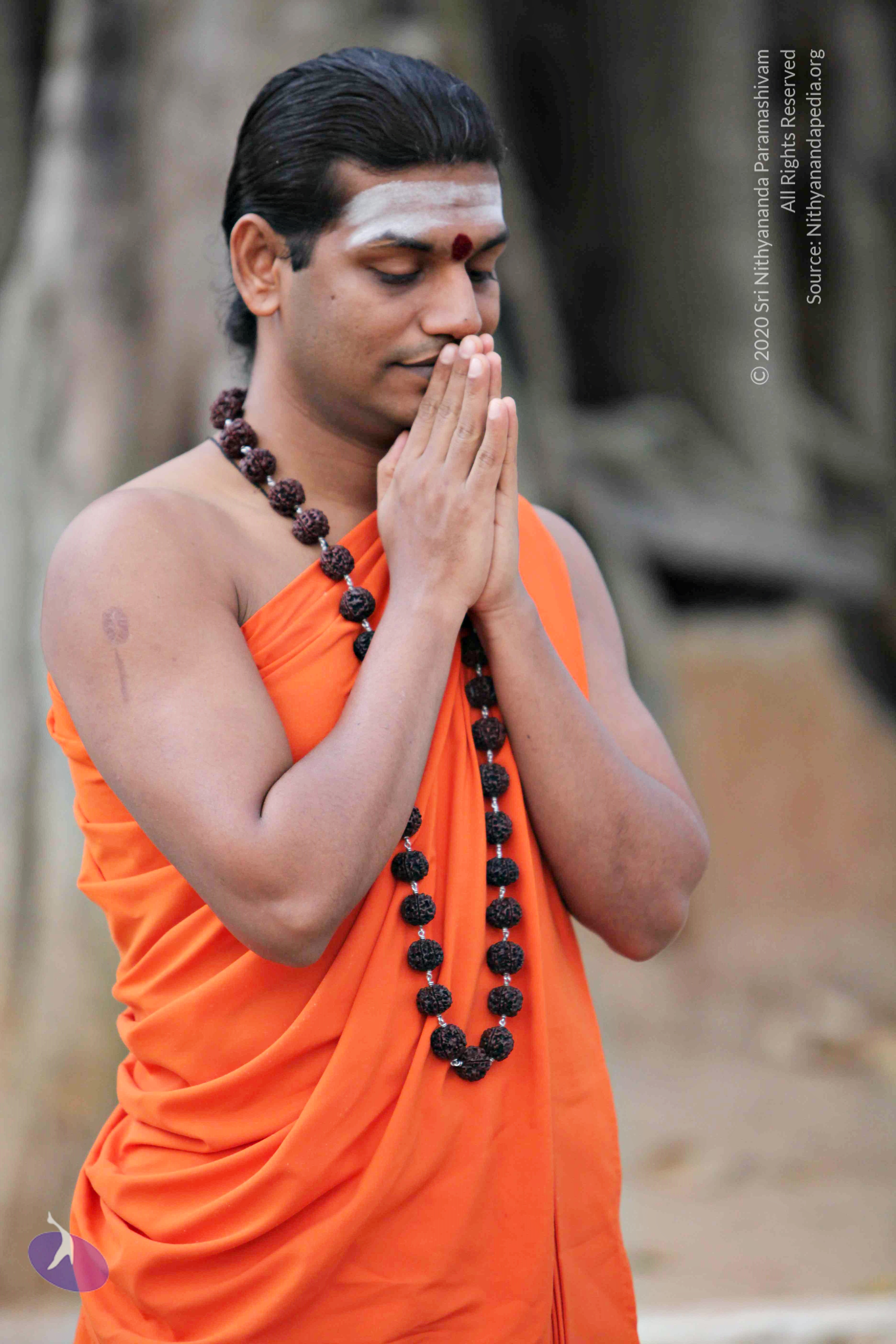 20110225_Photo_1051_IMG_0761_CMP_WM